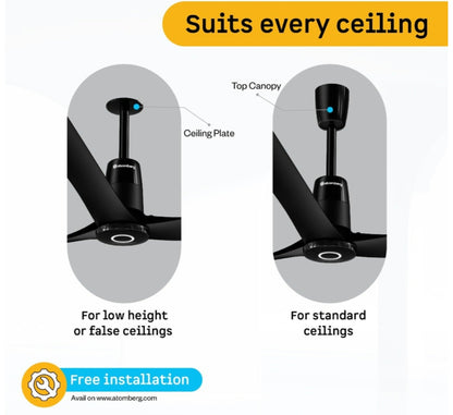 Aris Contour Ceiling Fan