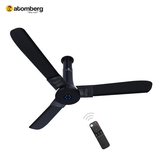 Studio + Ceiling Fan